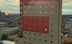 Ibis Imperatriz